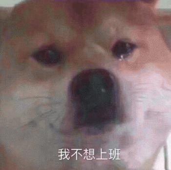 狗子鼻子干裂了怎么办,为什么狗子的鼻子干干的