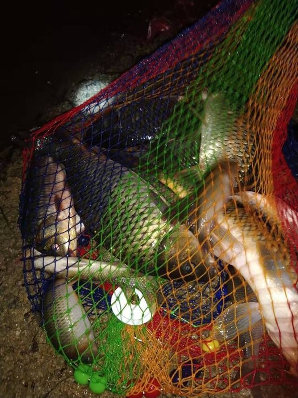 冬天钓鱼用什么小香精好,冬天钓鱼添加剂怎么加