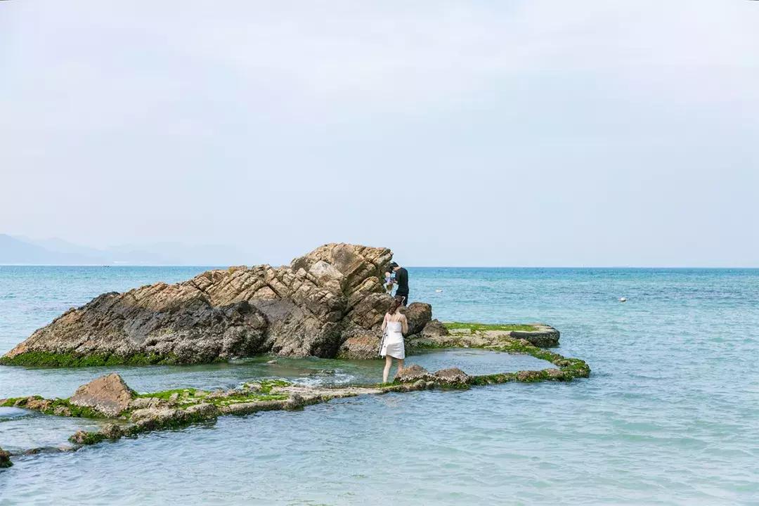 杨梅坑旅游攻略超详细版,魅力杨梅坑