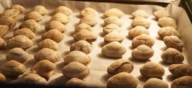 来一盆花蛤，藏不住的鲜