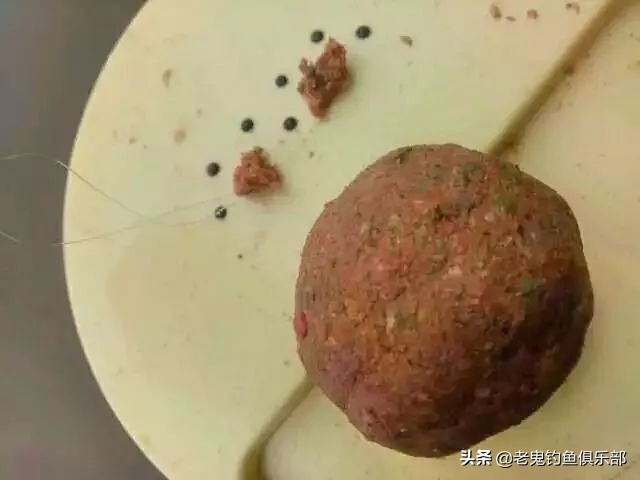 老鬼野战巨物饵料钓鱼,老鬼饵料小肽蛋白钓罗非鱼