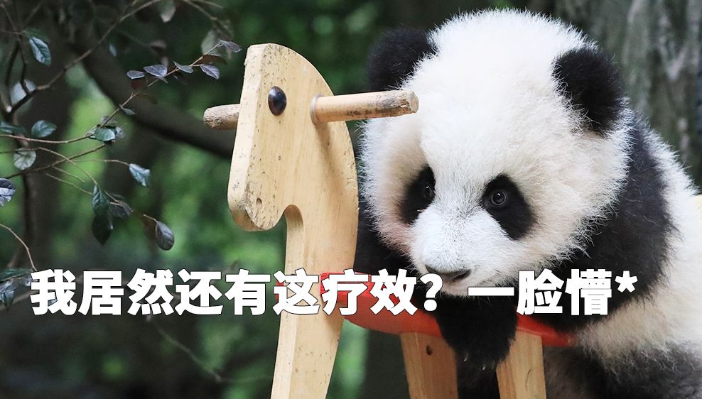 外国人到底有多喜欢外国人的熊猫,外国喜欢熊猫到什么程度