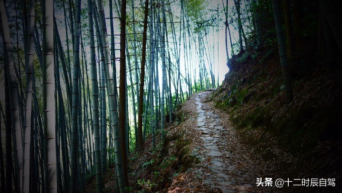 探寻最后的香格里拉稻城亚丁之秋,探索香格里拉最深处