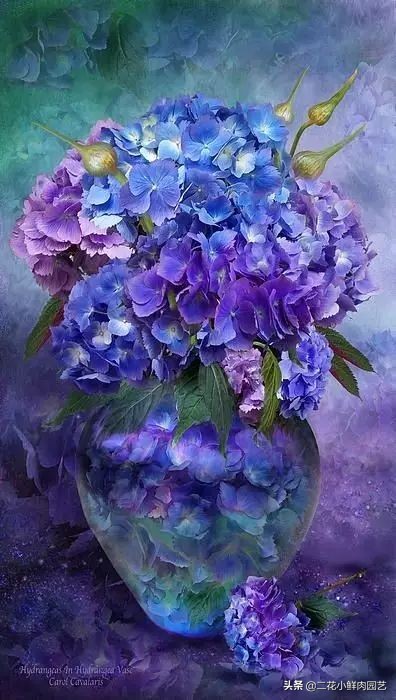 100种花卉绘画,100多张花卉线描手稿素材赶快收藏