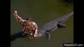 鳄鱼袭人，印尼村民愤怒*杀屠**300头，为什么说鳄鱼比鲨鱼还要凶残