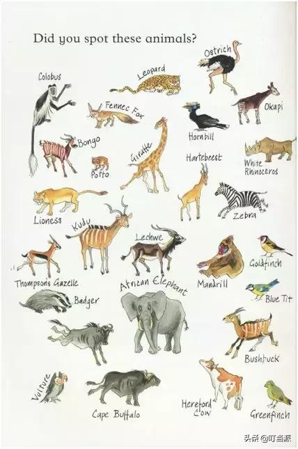 风靡全美的幼儿英语分级阅读,畅销全美幼儿英语分级阅读