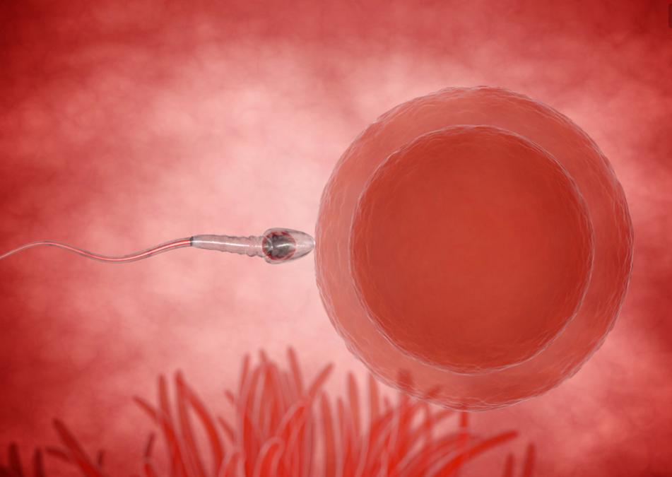 受精卵着床，女性身体会有感觉吗？医生：有3种感觉可能就是怀了