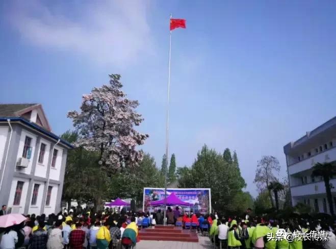 老船匠故事视频,老船的故事大全视频