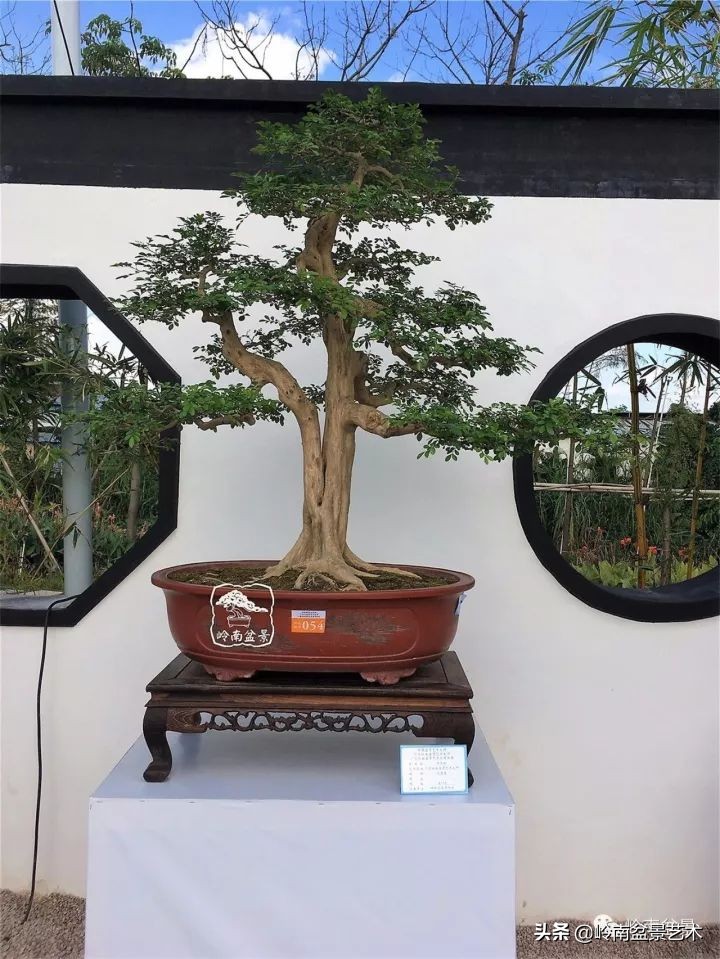 骞哥涔呬箙鐢滅敎铚滆湝,骞哥涔呬箙