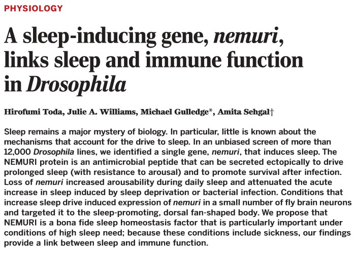 专家告诉你:多睡觉,感冒都好得更快。