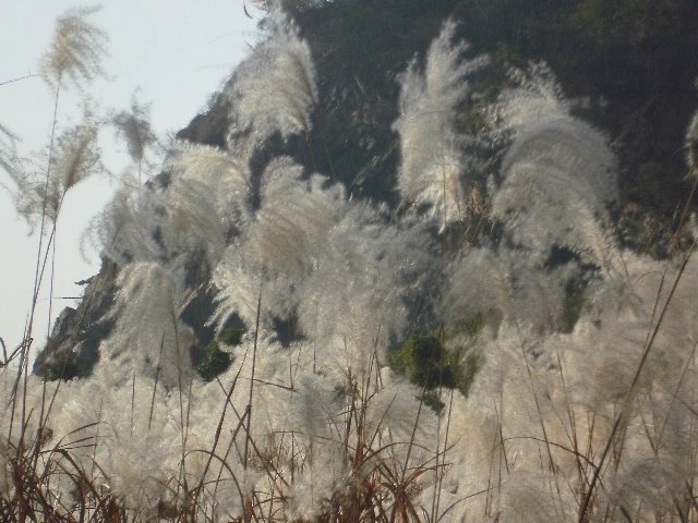李白说的天门山是哪个天门山,李白望天门山是今天哪里