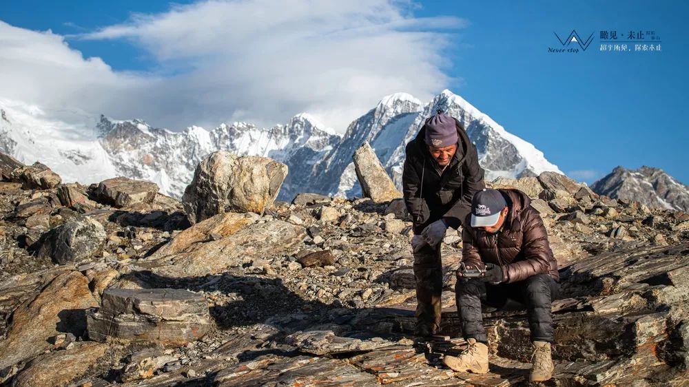 高山低谷的感悟,高山之巅的感悟