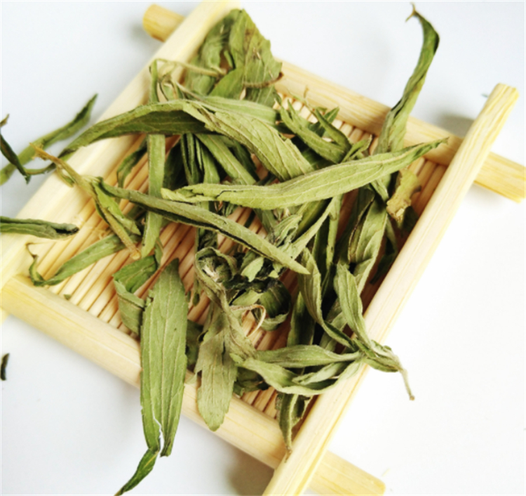 甜叶菊现在前景怎么样,甜叶菊为什么美国不能使用