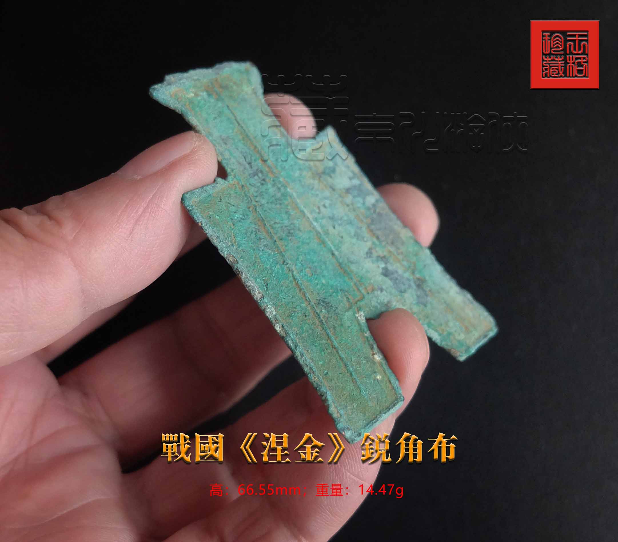 稀见的战国《“涅金”锐角布》展赏