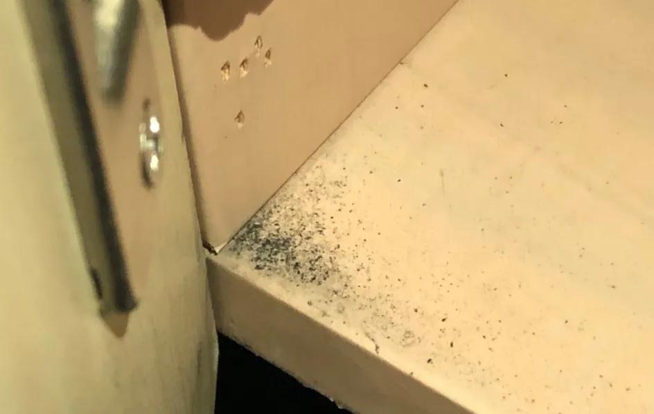 饮水机爬出蟑螂,饮水机老是有蟑螂进去怎么办