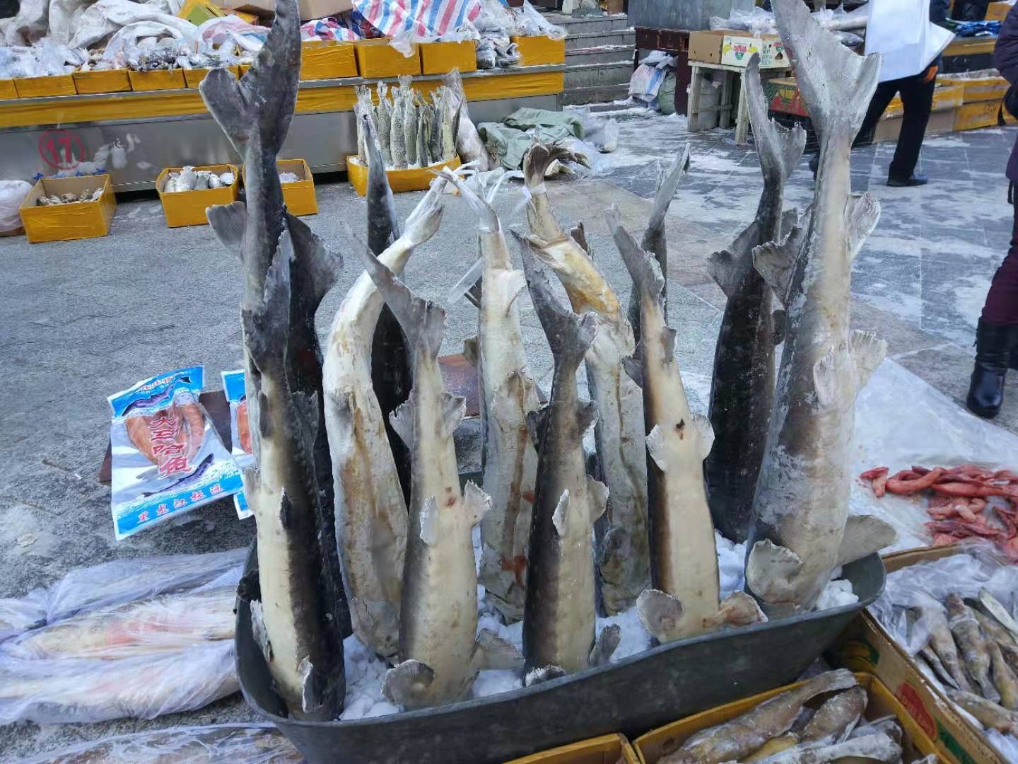 一路向东旅游路线图,一路向东北旅游攻略