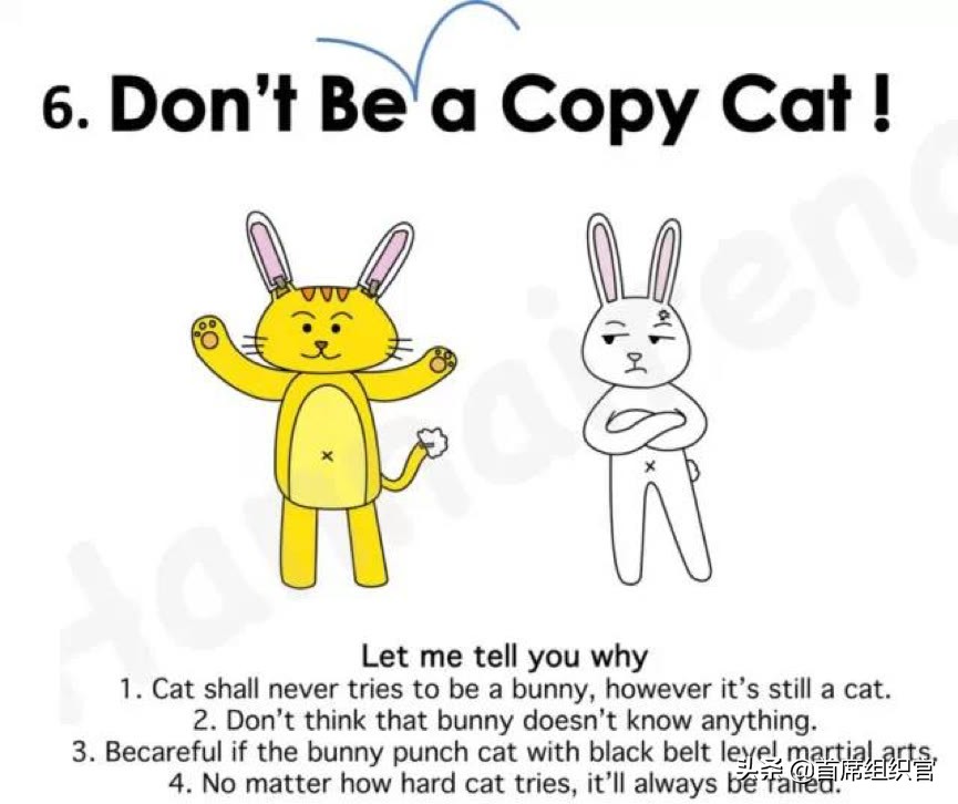 创业就是没有目标不停试错的过程,创业更重要的是选择而不是努力