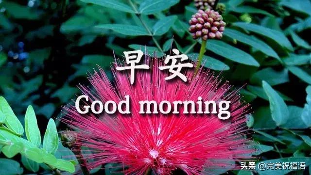 早安手机短信,发给朋友早上好短信