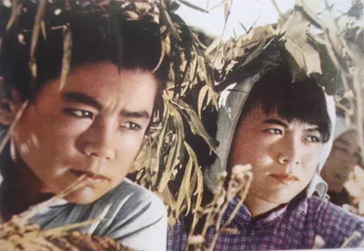 地道战电视剧免费观看全集完整版,电影地道战完整版高清观看