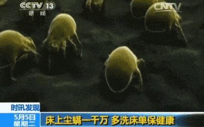 去被子上的螨虫的最佳方法,被子睡久了怎么除臭