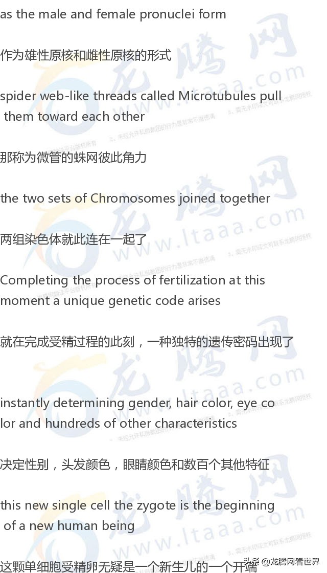 「龙腾网」医学动画：《精子卵子一相逢》