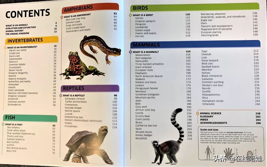 dk知识大百科全套,dk知识大百科书金银版