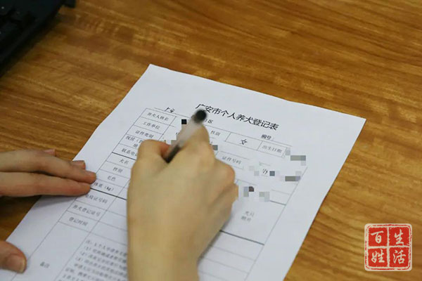 养犬新规实施犬证办理成热门,办理养犬证明需要哪些手续