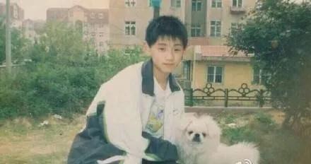 张继科能和刘诗雯最后走在一起吗,乒乓球十大未解之谜张继科刘诗雯