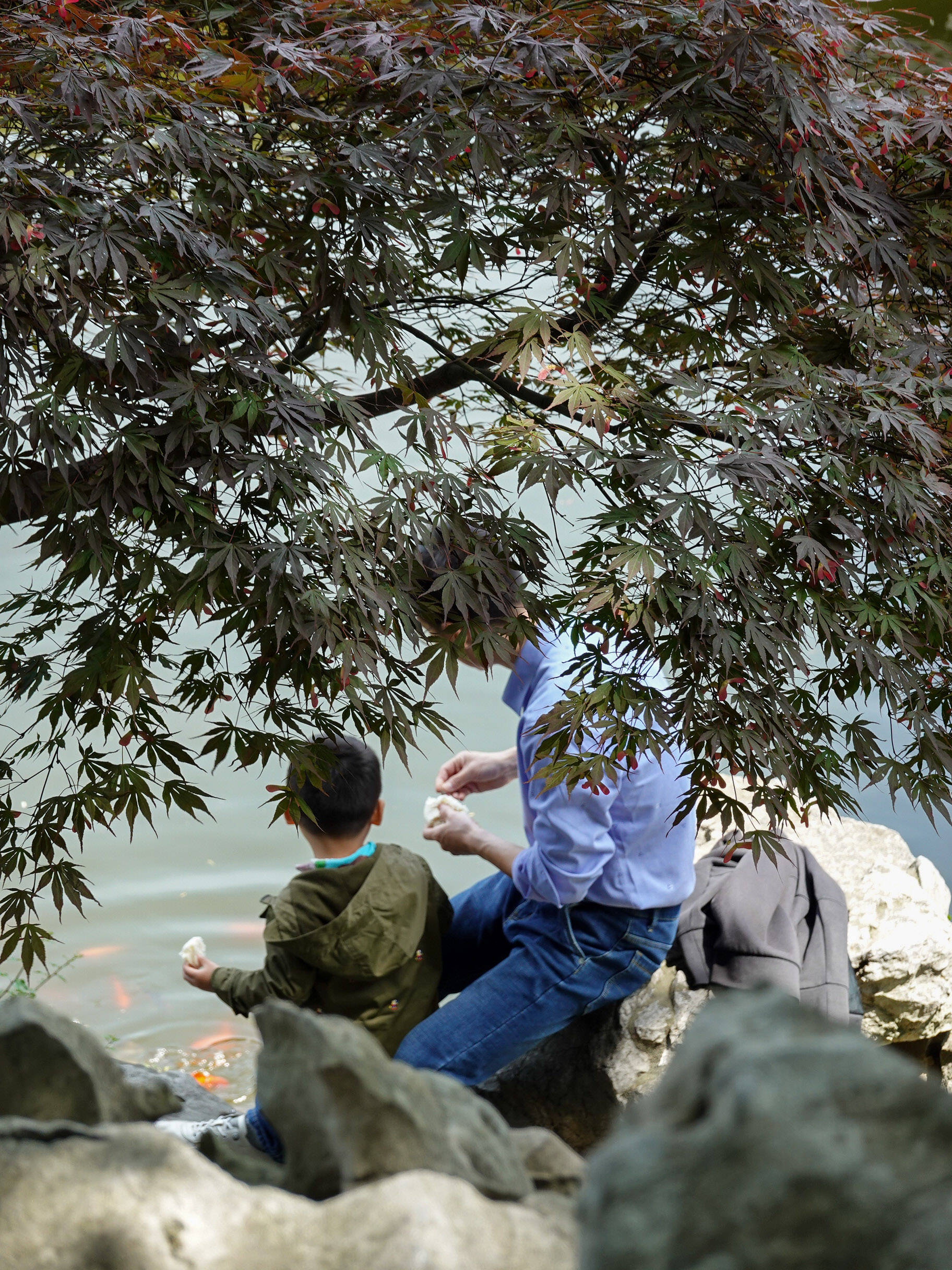 鑻忓窞鏃呮父灏忎紬鏃呮父鏀荤暐,鑻忓窞鏃呮父鏀荤暐灏忎紬鏅偣鎺ㄨ崘