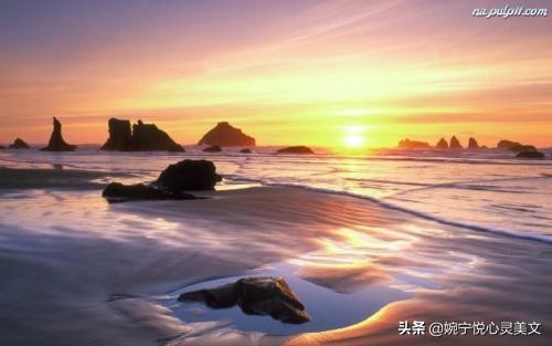 最好的朋友不需要刻意维护感情,任何感情不值得你用生命维护