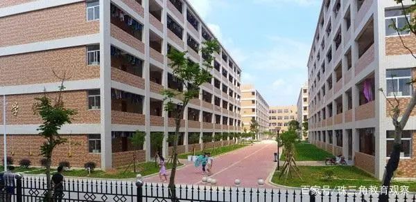 廉江实验学校为什么那么强,湛江廉江一中