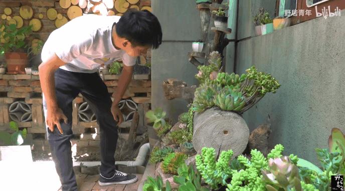 三个90后跑到深山,三个90后在海南租一套别墅