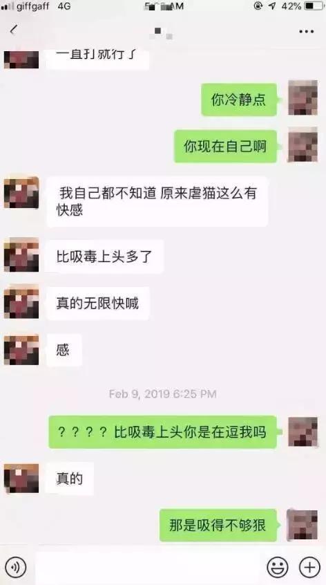 大四学生虐猫事件真相,中国留学生美国虐待案后续