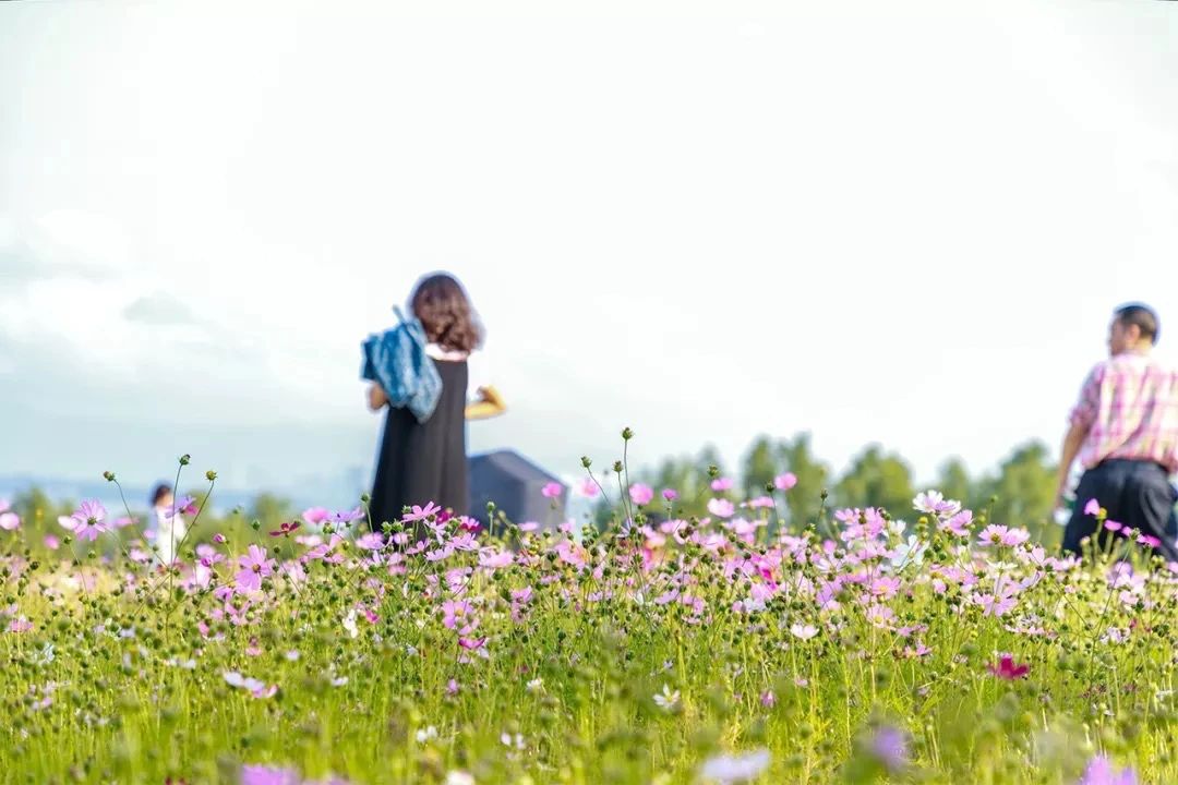深圳看海去哪里比较好,深圳出地铁就看海的地方是哪里