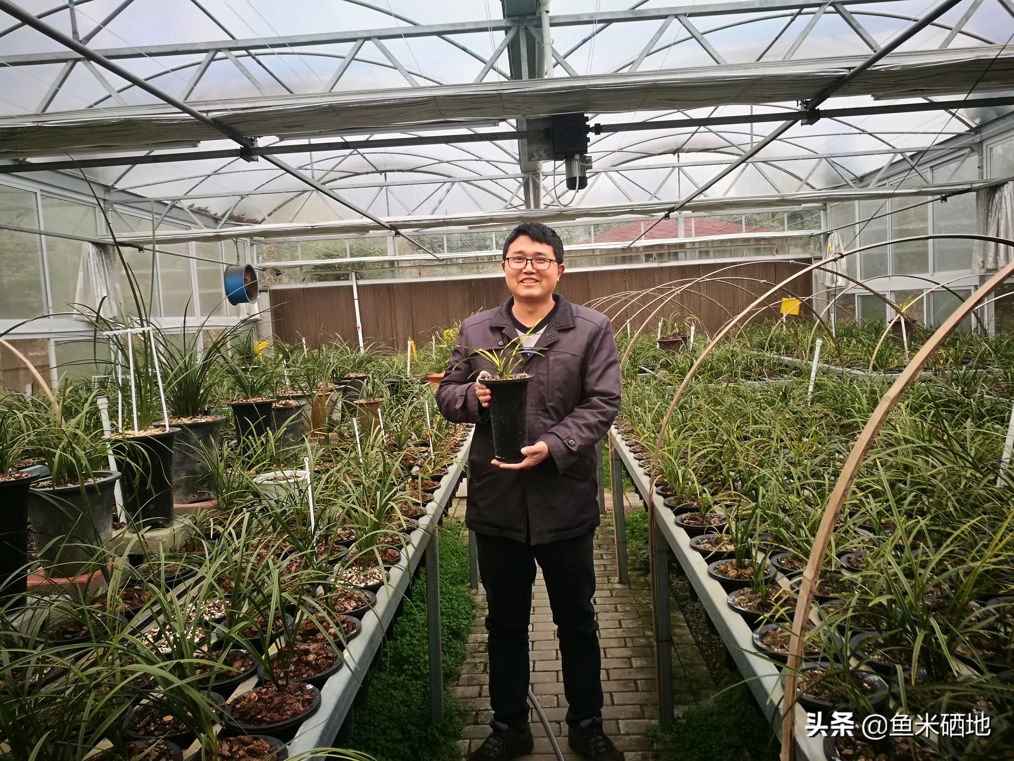 养兰花一年收入多少钱,卖兰花一年能挣多少钱