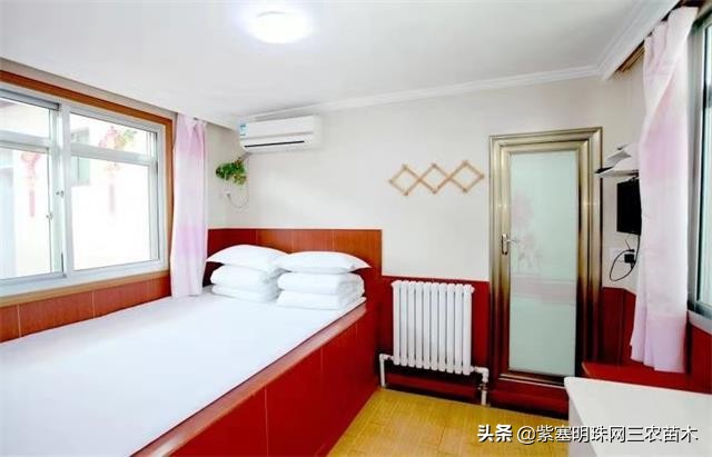 爱上一座城爱上一个人短视频,长岛大壮渔家民宿团购