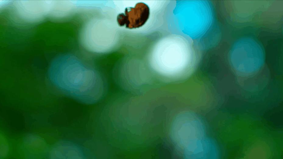 豆瓣9.6！娃刷到停不下来，还能看出人生大道理