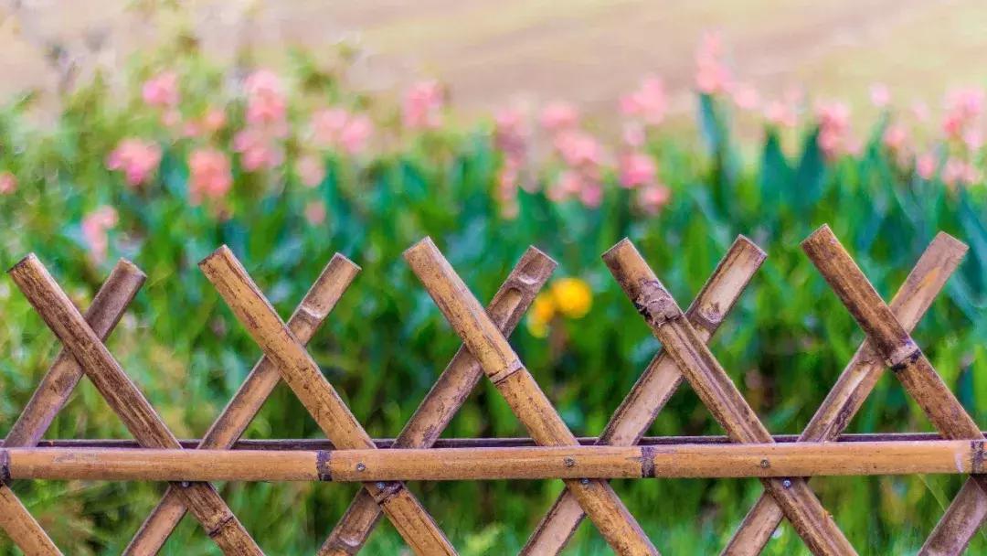 中国汉字的令人崩溃的瞬间,最扎心的汉字