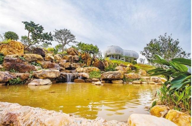 最新的深圳北站中心公园视频,深圳北站中心公园开放时间