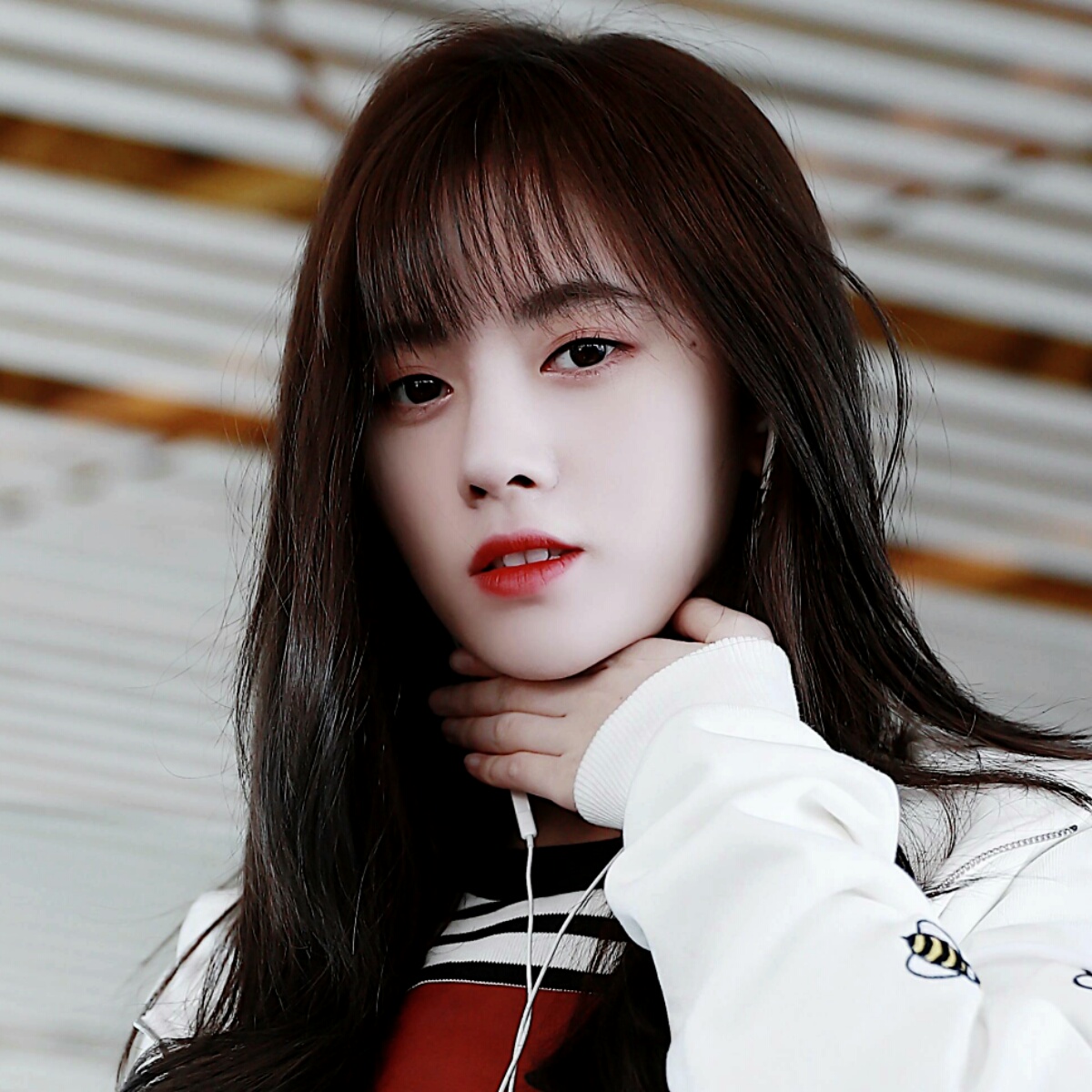 中国作家刘信达批评过哪些明星,鞠婧祎刘信达