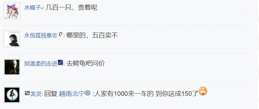 大水冲出乌龟,村中洪水意外发现巨龟