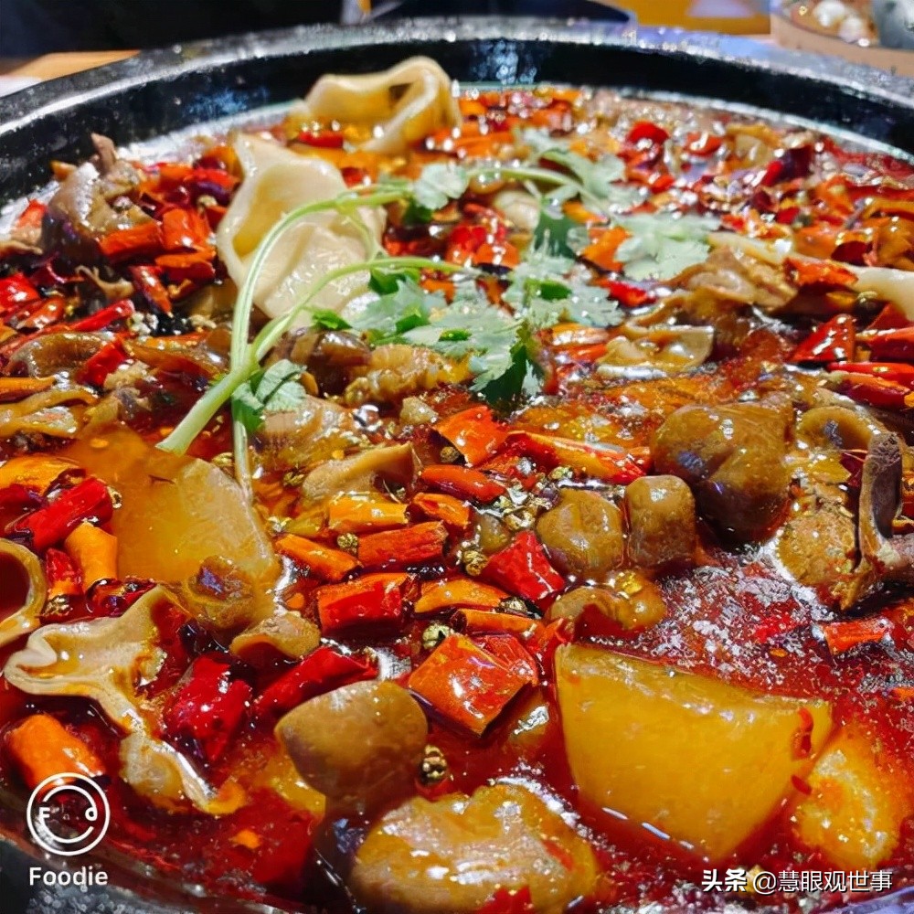 《侯海洋基层风云》中肥肠火锅鱼发生的故事