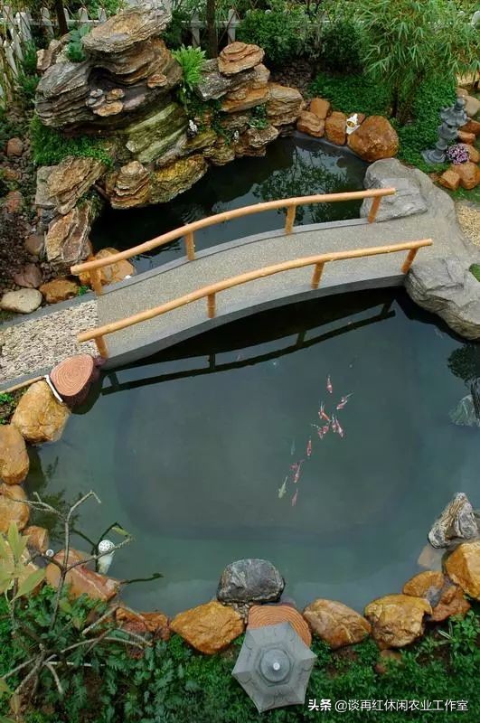 鱼树栽屋前好还是屋后好,阳宅不宜栽什么树