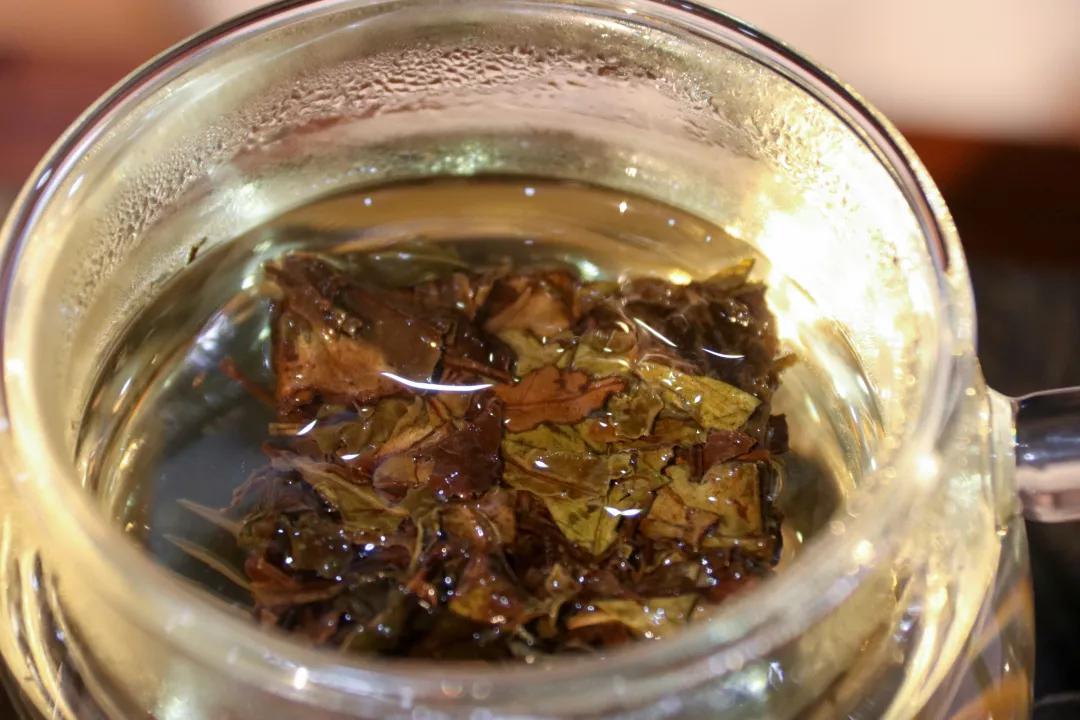 福鼎白茶寿眉小片,福鼎小方片老白茶寿眉汤色