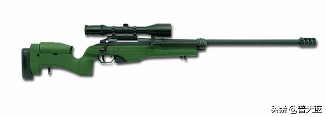 全球著名十大现役*击狙**步枪