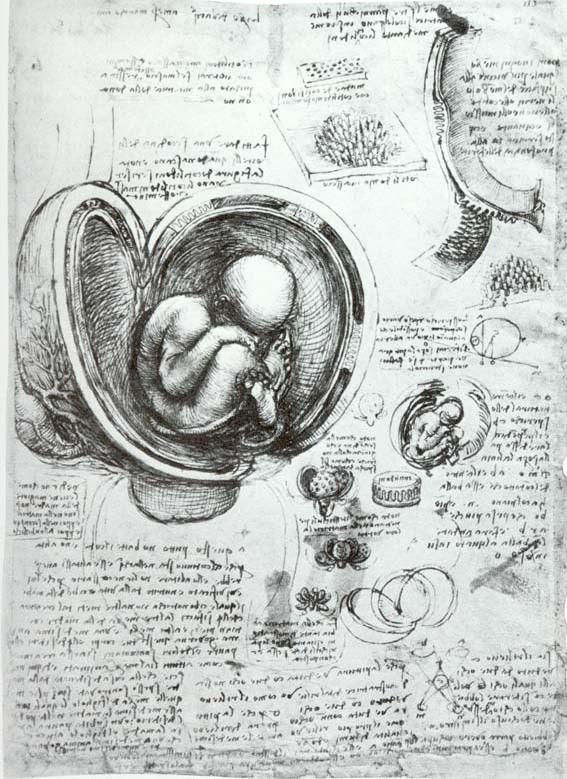 达芬奇为什么有蒙娜丽莎,达芬奇留下的蒙娜丽莎未解之谜