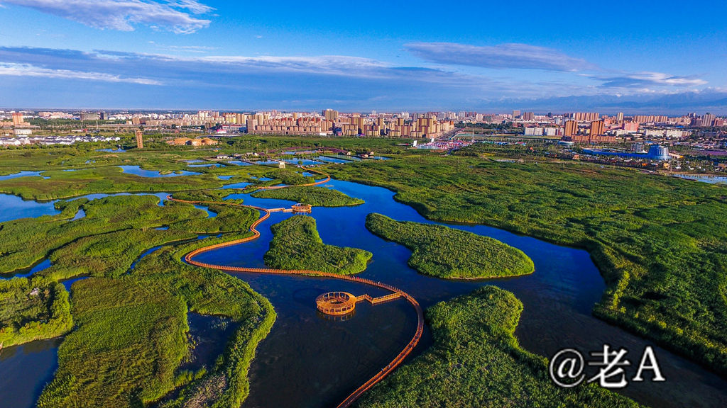 朋友们来张掖吧原视频,朋友来张掖吧