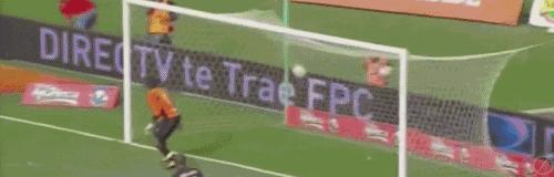 老虎法尔考退役,老虎法尔考集锦