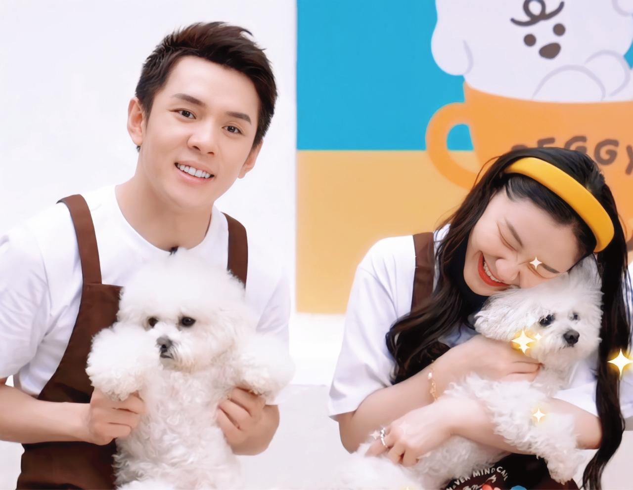 思聪做网红“舔狗”，引出另一对乱炖CP？吴亦凡无故躺枪