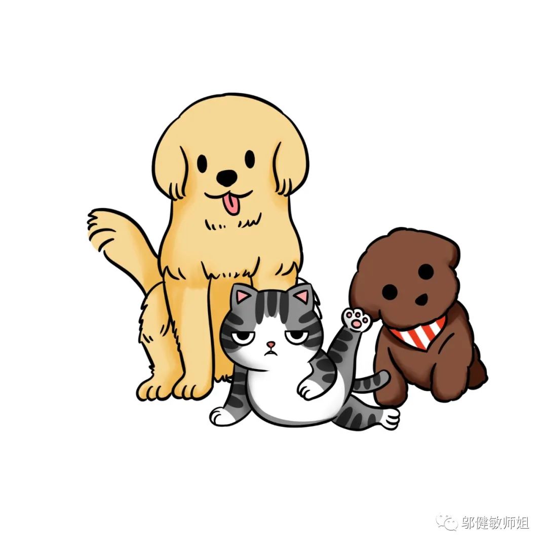 开宠物店卖宠物需要多少钱,揭秘宠物店是怎么赚钱的